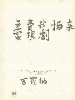 免费我怕来不及电视剧封面