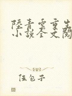 陆青云重生官场小说全文阅读