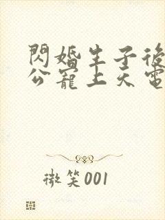 闪婚生子后被老公宠上天电视剧