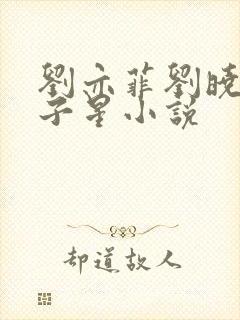 刘亦菲刘晓莉双子星小说