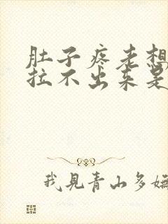 肚子疼老想拉屎拉不出来是怎么回事封面