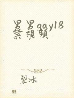 男男gay18禁视频