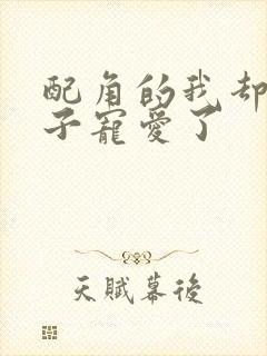 配角的我却被王子宠爱了封面