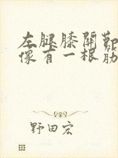 左腿膝关节内侧像有一根筋扯着疼