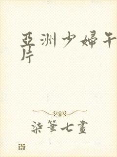 亚洲少妇午夜看片