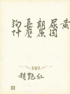 狗长期尿黄尿是什么原因