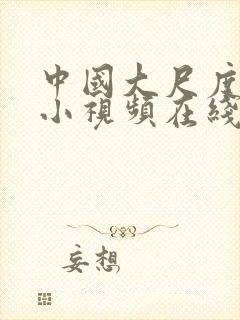 中国大尺度男女小视频在线观看