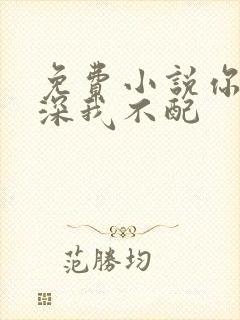 免费小说你的情深我不配