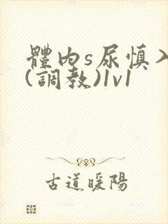 体内s尿慎入h(调教)1v1