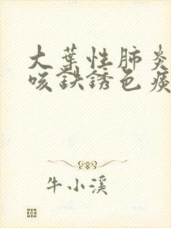 大叶性肺炎患者咳铁锈色痰出现于