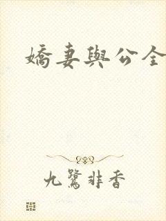 娇妻与公全集封面