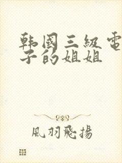 韩国三级电影妻子的姐姐封面