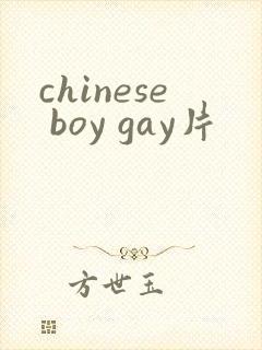 chinese boy gay片封面