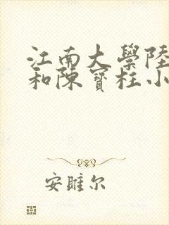 江南大学陆冰嫣和陈宝柱小说封面