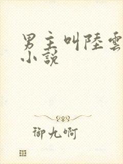 男主叫陆云峰的小说封面