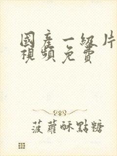 国产一级片高清视频免费