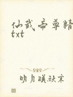 仙武帝尊精校版txt