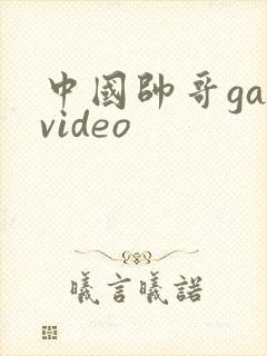 中国帅哥gayvideo