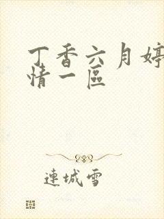 丁香六月婷婷激情一区