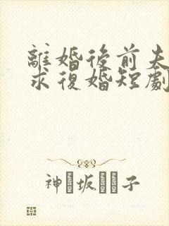 离婚后前夫跪着求复婚短剧封面