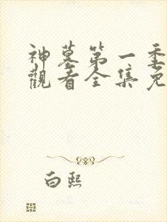 神墓第一季在线观看全集免费观看动漫