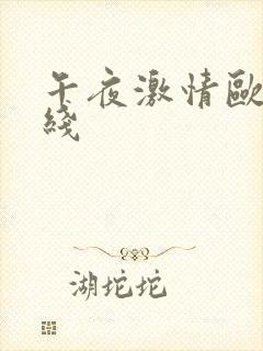 午夜激情欧美在线