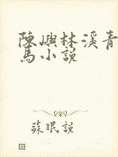 陈屿林溪青梅竹马小说