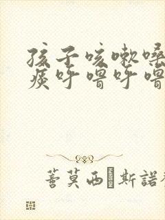 孩子咳嗽嗓子有痰呼噜呼噜的怎么办