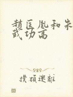 赵匡胤和朱棣谁武功高