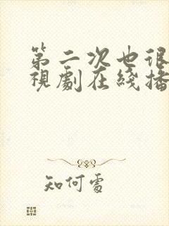 第二次也很美电视剧在线播放封面