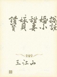 错嫁甜婚总裁的宝贝妻小说完整