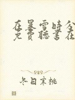 在暴雪时分小说免费听书在线