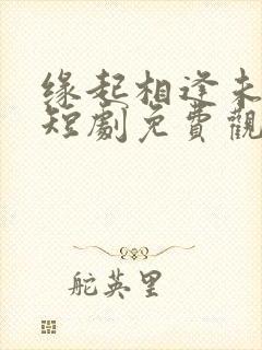 缘起相逢未识时短剧免费观看封面