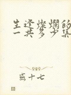 生逢灿烂的日子一共多少集