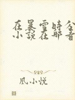 在暴雪时分原著小说在哪看封面