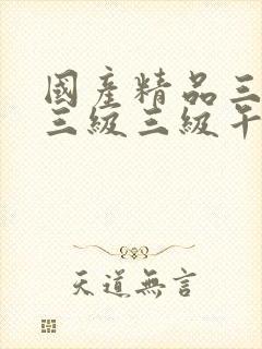 国产精品三级a三级三级午夜在线观看