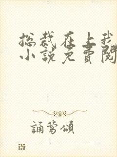 总裁在上我在下小说免费阅读