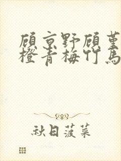 顾京野顾堇年许橙青梅竹马封面