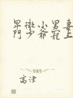 卑微小男妻被豪门少爷宠上天