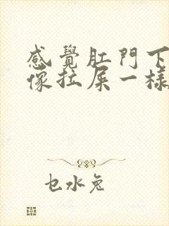 感觉肛门下坠感像拉屎一样