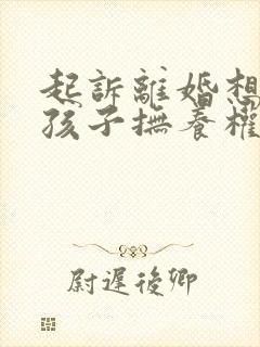 起诉离婚想争取孩子抚养权