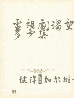 电视剧渴望总共多少集