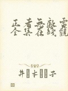 正者无敌电视剧全集在线观看免费