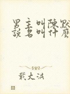 男主叫陈默的小说名叫什么