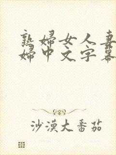 熟妇女人妻丰少妇中文字幕封面