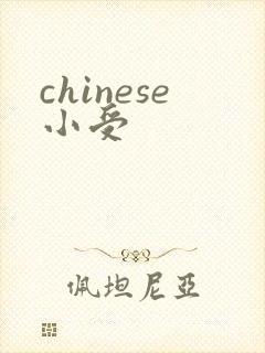 chinese小受