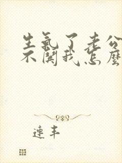 生气了老公从来不哄我怎么办封面