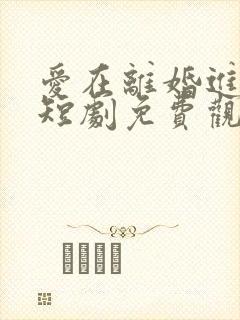 爱在离婚进行时短剧免费观看全集