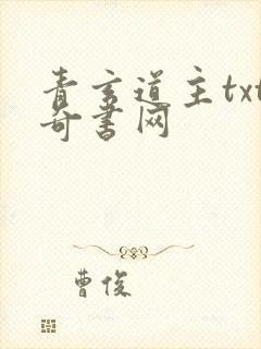 青玄道主txt奇书网