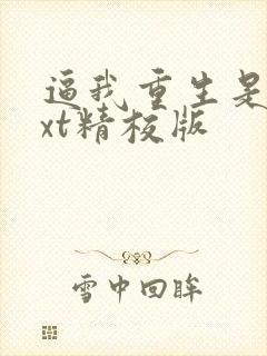 逼我重生是吧txt精校版封面